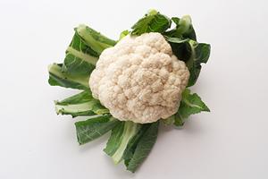 横浜駅の近くで美味しい中華を食べる